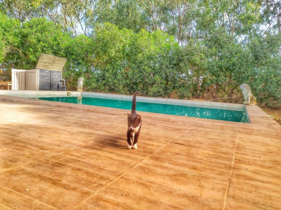 Appartement Granja America à Chiclana de la Frontera Extérieur photo